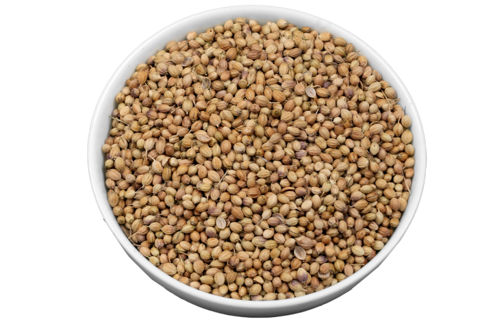Coriander Scotter